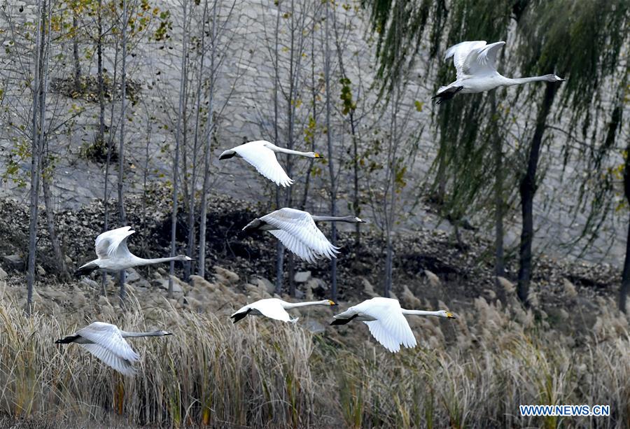 Paisagem da região de Longhu em Shandong