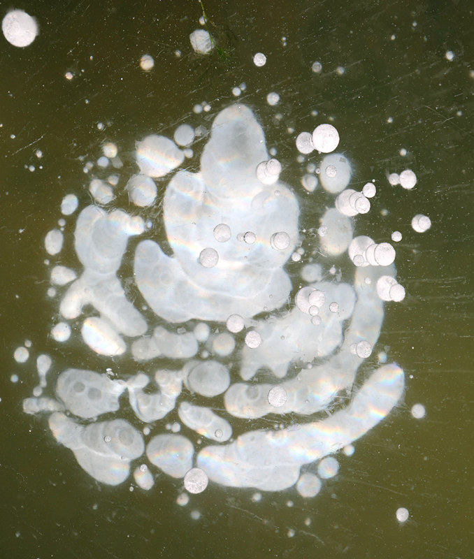 O lago congelado cria bolhas de gelo únicas