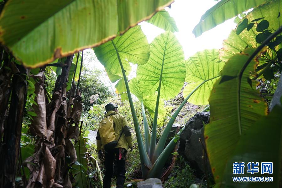 Expedição multinacional descobre buracos cársticos gigantes na China