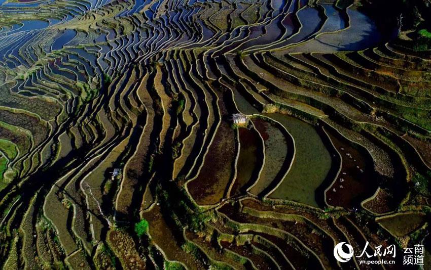 Paisagem invernal dos arrozais Honghe Hani