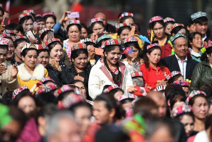 Especialistas chineses em direitos humanos condenam aprovação do projeto de lei relacionado a Xinjiang pela Câmara dos Deputados dos EUA