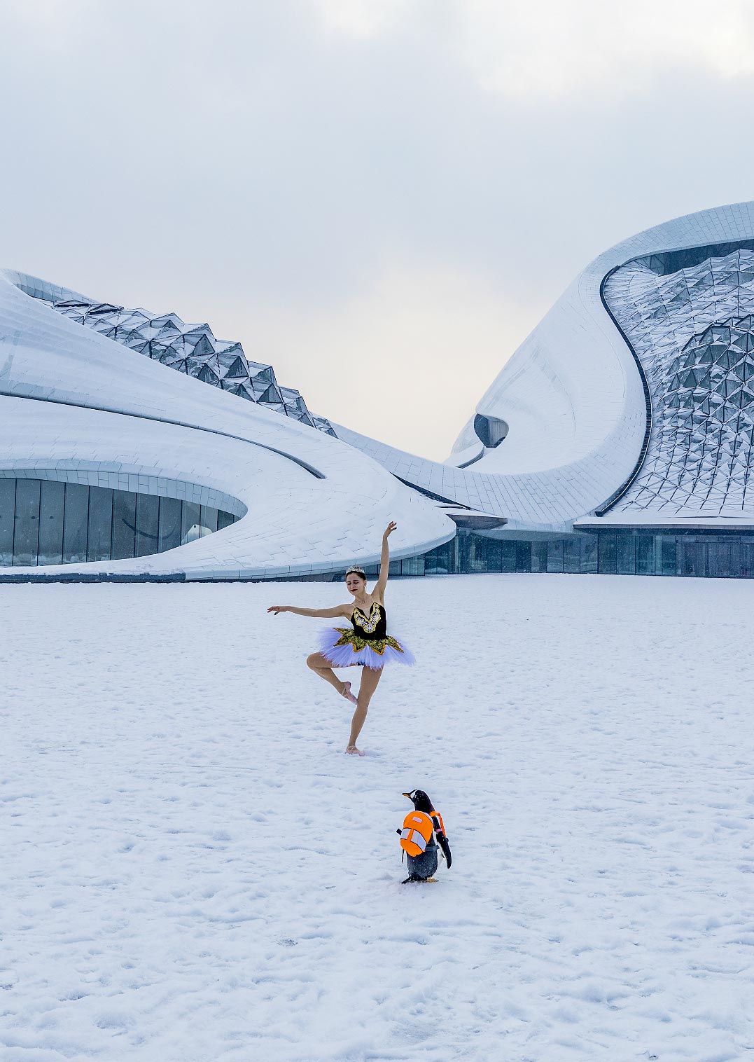 Pinguim dança com “cisne” russa no Grande Teatro de Harbin