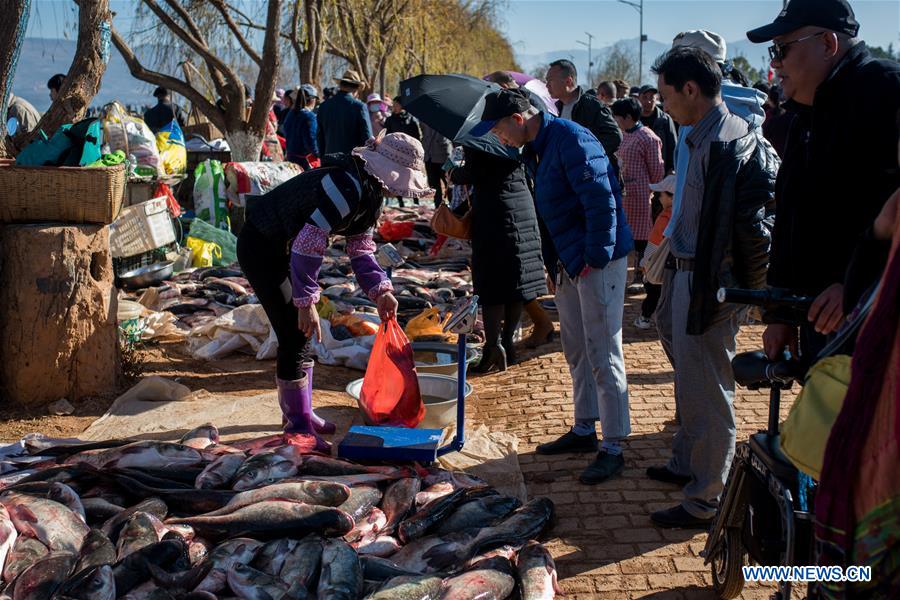 Yunnan: proibição de pesca suspensa temporariamente no lago Xingyun