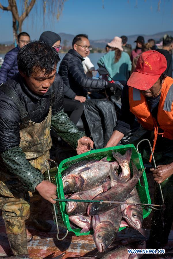 Yunnan: proibição de pesca suspensa temporariamente no lago Xingyun