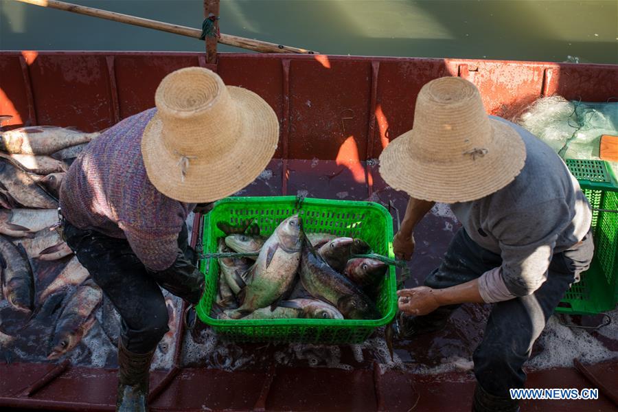 Yunnan: proibição de pesca suspensa temporariamente no lago Xingyun
