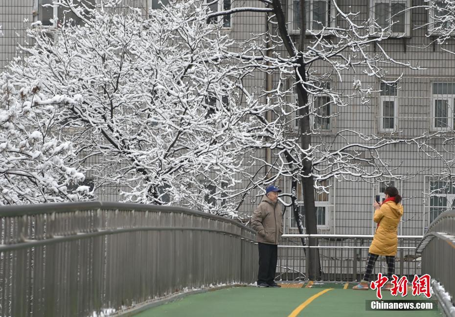 Beijing recebe primeira queda de neve de 2020