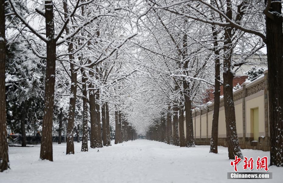 Beijing recebe primeira queda de neve de 2020