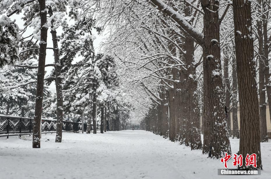 Beijing recebe primeira queda de neve de 2020