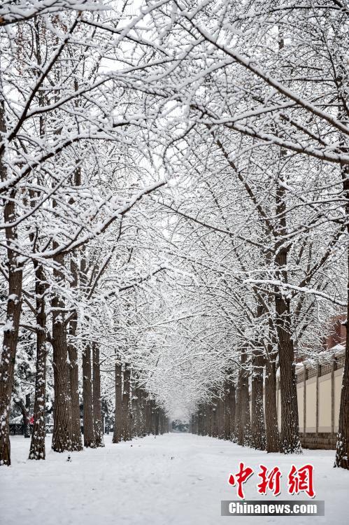 Beijing recebe primeira queda de neve de 2020