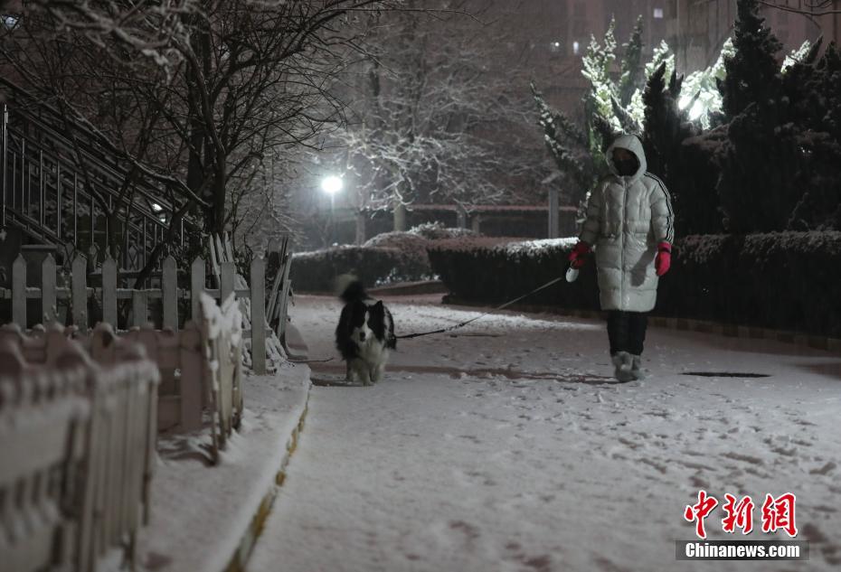 Beijing recebe primeira queda de neve de 2020