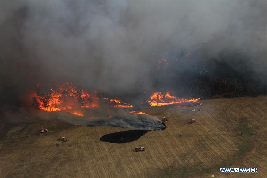 Austrália: nova agência será criada para combater incêndios florestais