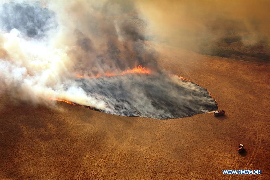 Austrália: nova agência será criada para combater incêndios florestais