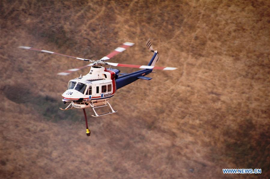 Austrália: nova agência será criada para combater incêndios florestais