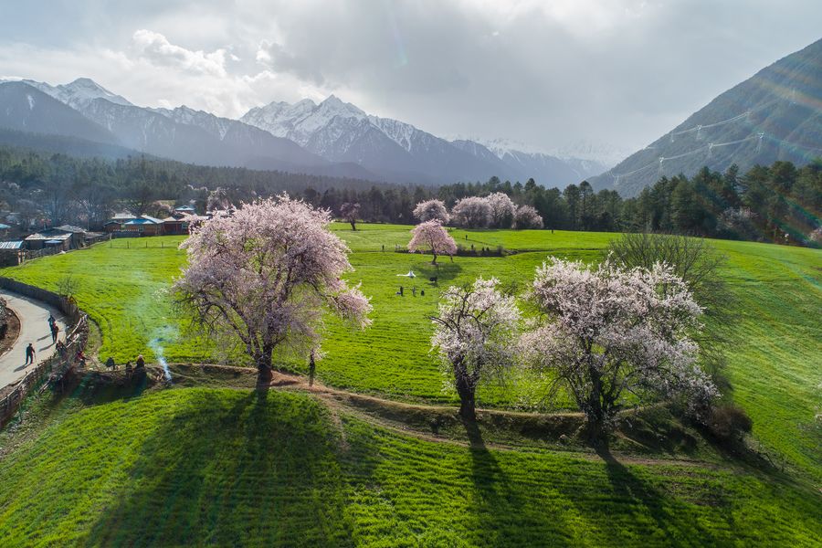 Tibet investe mais em proteção ecológica em 2019