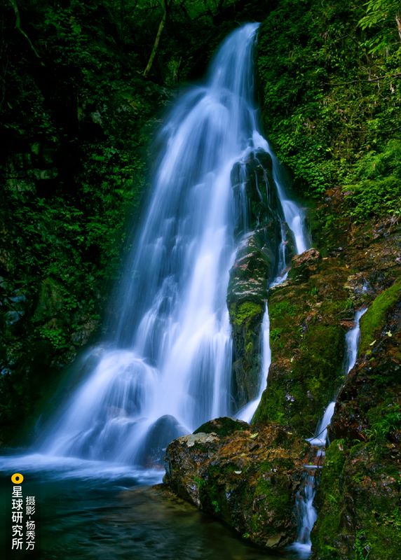 Galeria: paisagem única da Montanha Fanjing