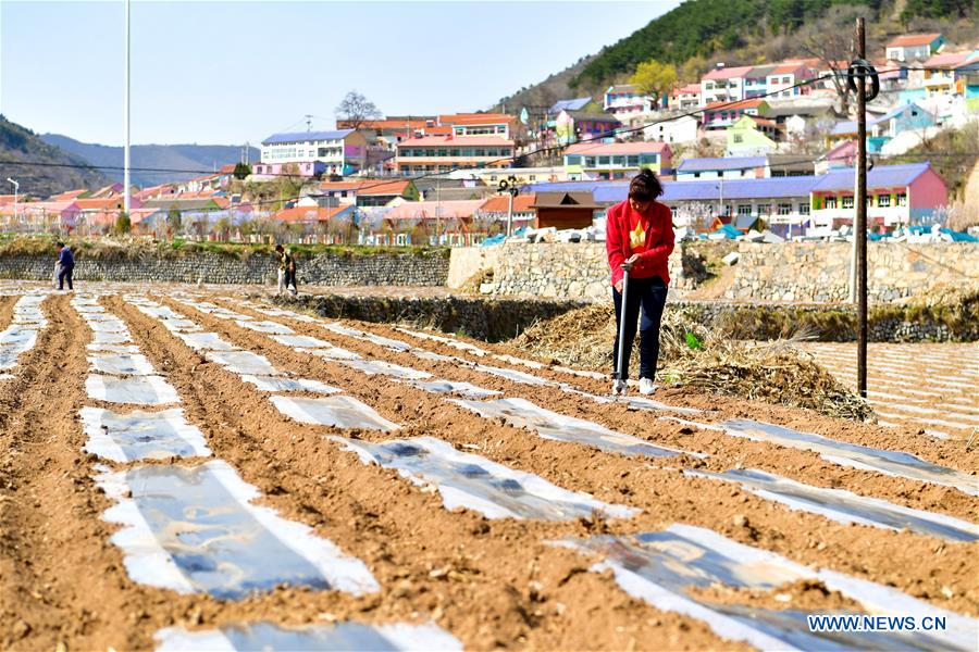 Soluções de alívio da pobreza melhoram padrão de vida das pessoas na aldeia Nanpingtouwu