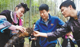 ��ƶӡ�ǣ�פ����կ