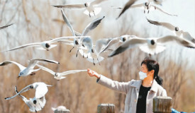 �غá����ﻨ�㡱