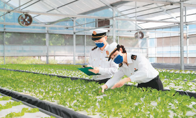 �������ӡ�ǣ��������