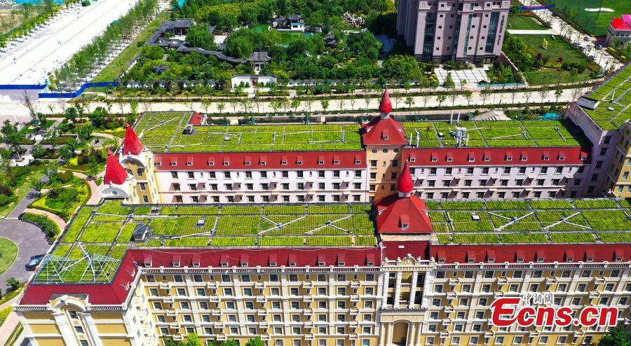 Galeria: Jardins de terraço montados na escola em Zhengzhou