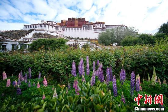 Palácio Potala reabre ao público