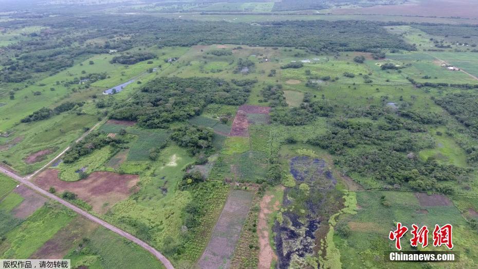 Ruínas da civilização maia descobertas no México

