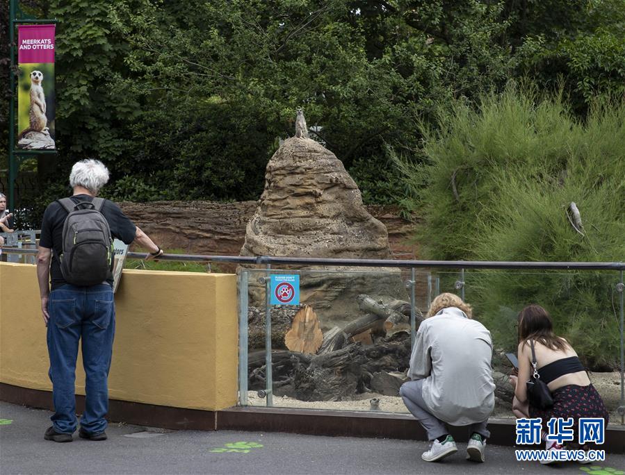 Parque Zoológico de Londres reabre