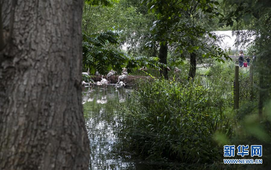 Parque Zoológico de Londres reabre