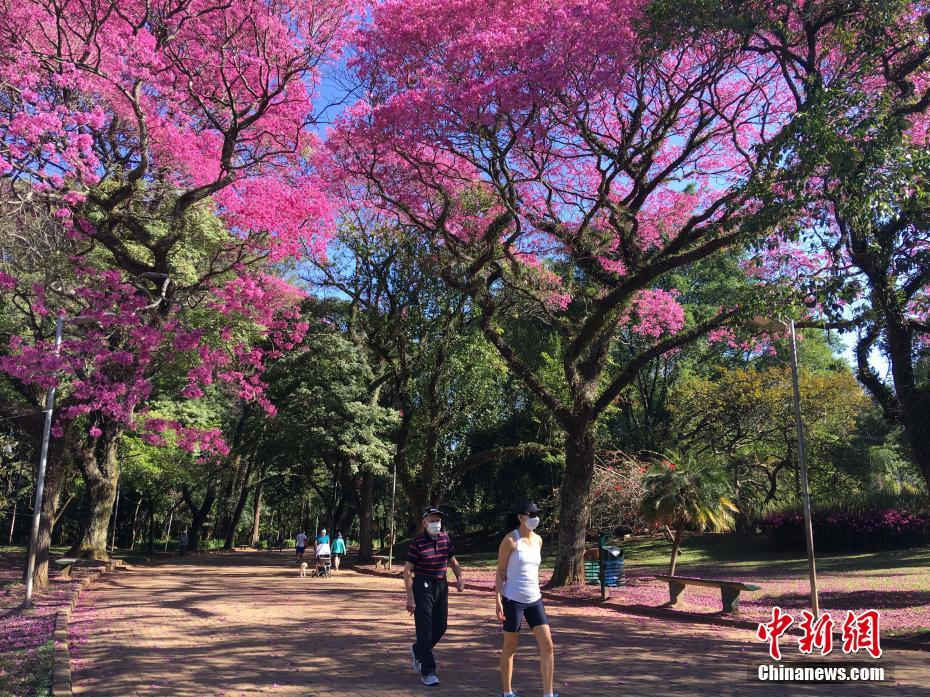 Parque reabre em São Paulo