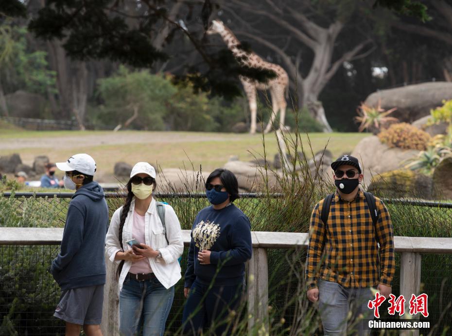 EUA: Zoológico de São Francisco reabre 