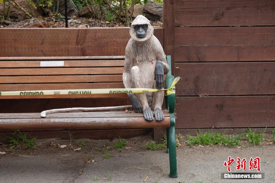 EUA: Zoológico de São Francisco reabre 