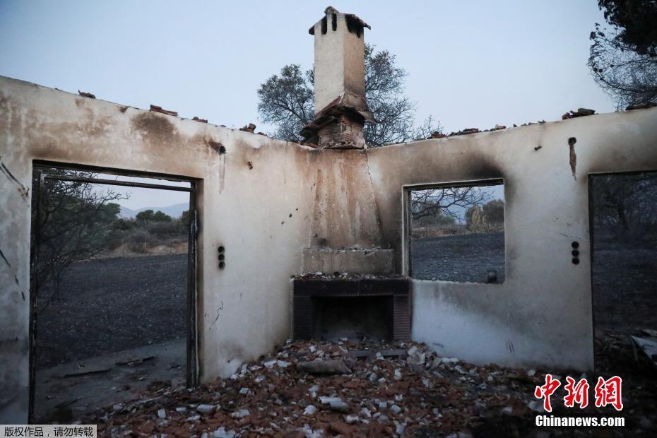 Ocorrem 57 incêndios florestais em 24 horas na Grécia