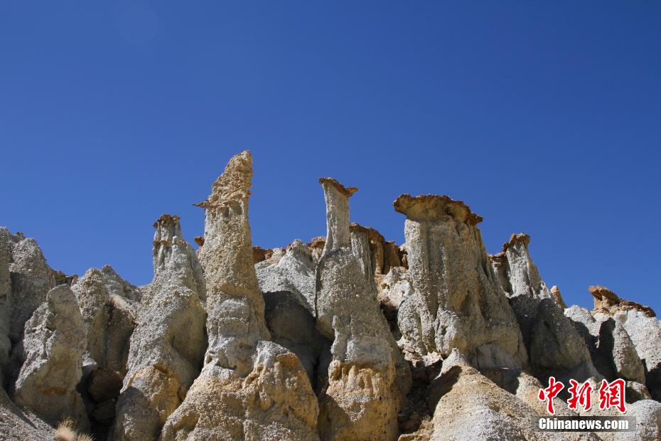 Galeria: geoparque florestal no Tibete

