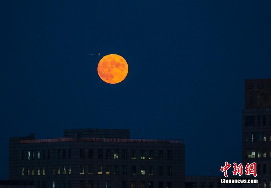 Lua cheia aparece em 14 de junho do ano lunar