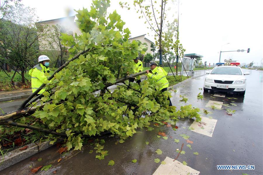 Tufão Hagupit atinge província chinesa de Zhejiang

