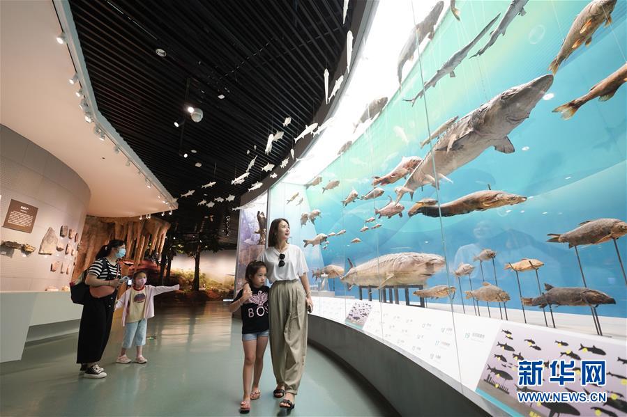 Galeria: Museu Natural de Chongqing