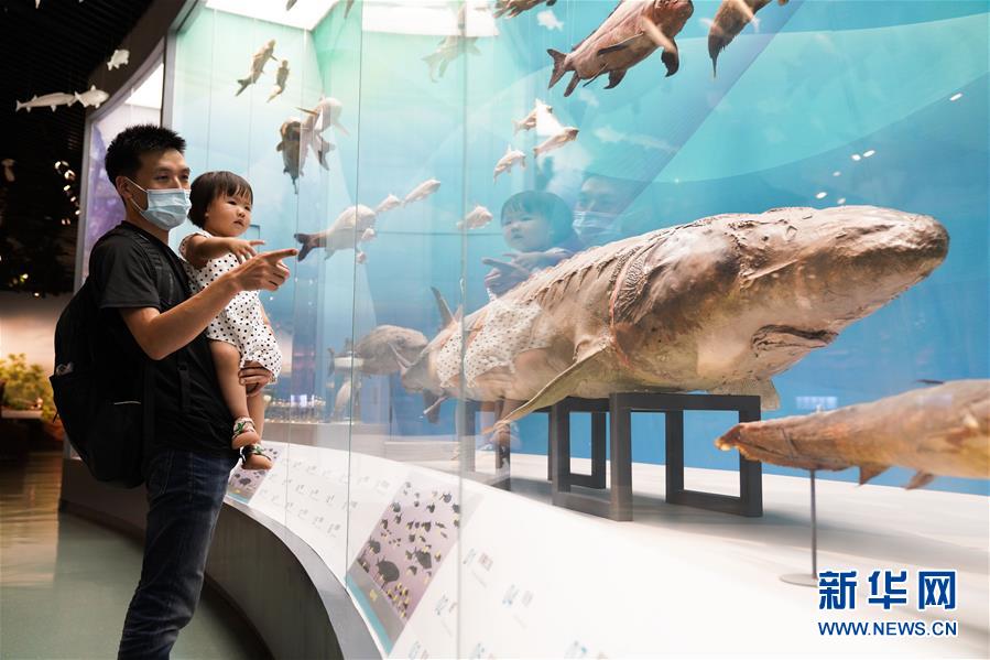 Galeria: Museu Natural de Chongqing