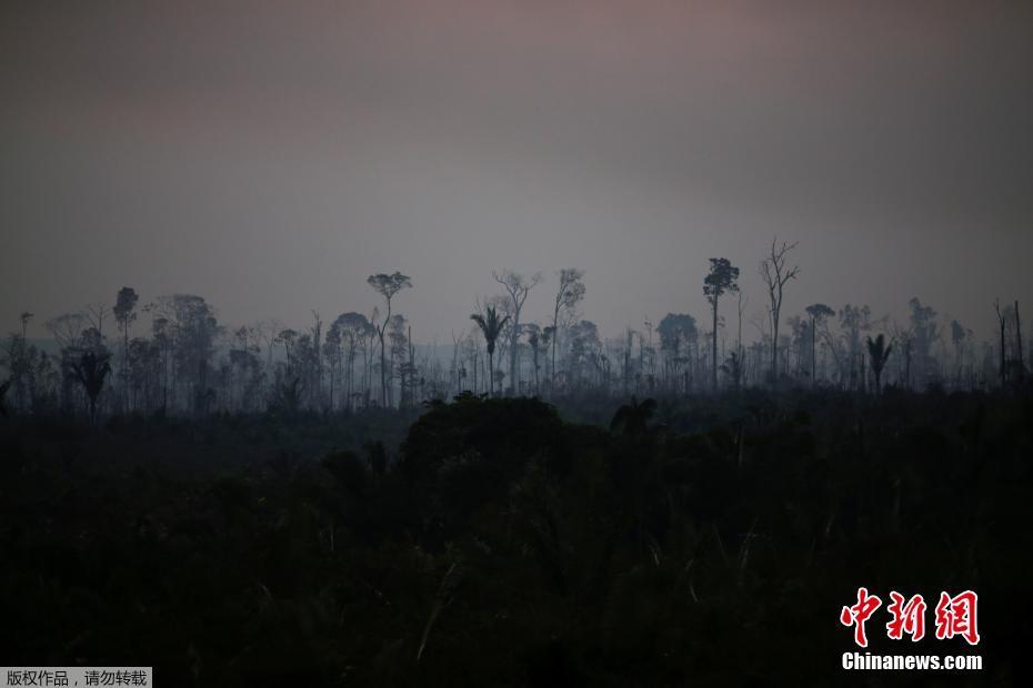 Amazônia registra aumento de incêndios em julho