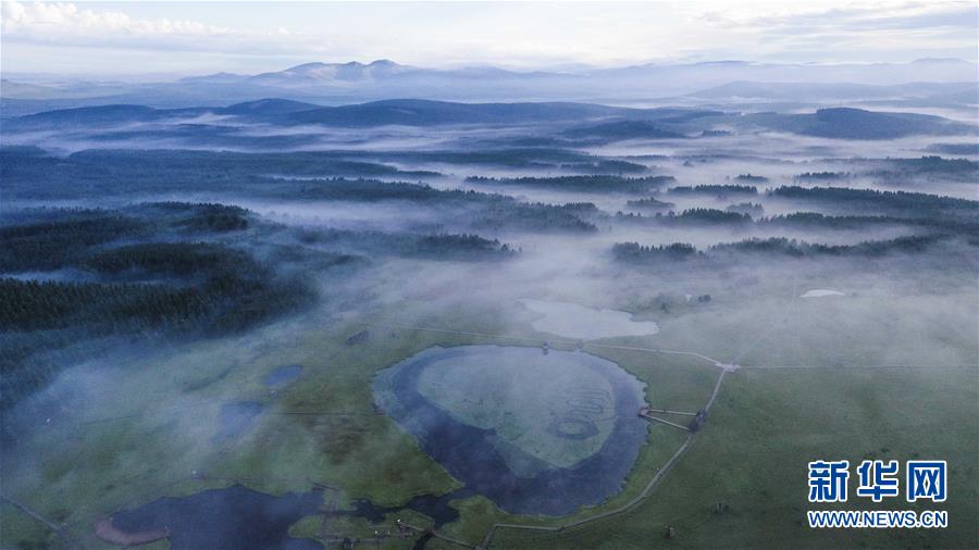 Galeria: Parque Nacional Florestal Saihanba