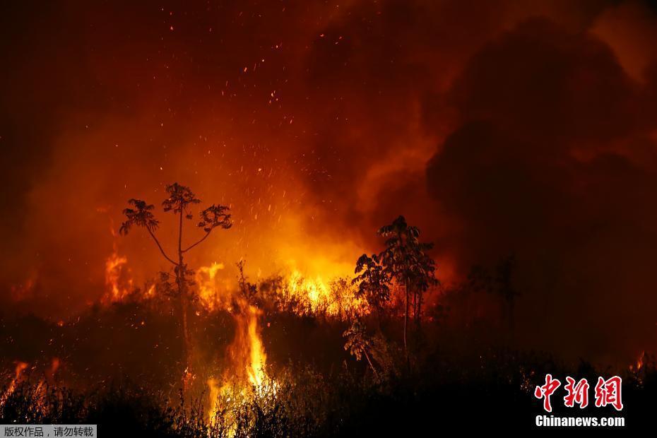 A maior área húmida no mundo tem recorde de incêndio, ameaçando espécies em extinsão