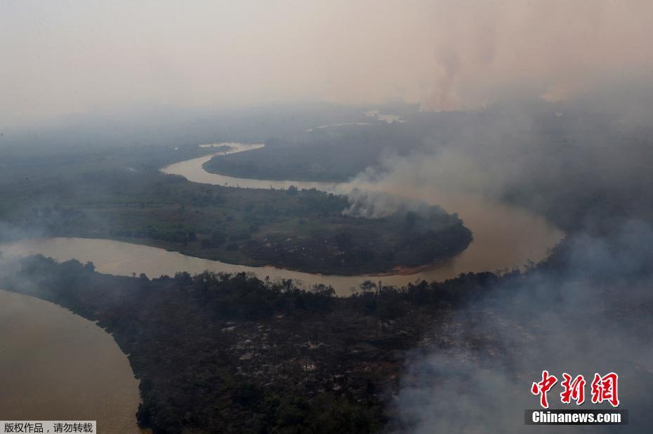 A maior área húmida no mundo tem recorde de incêndio, ameaçando espécies em extinsão