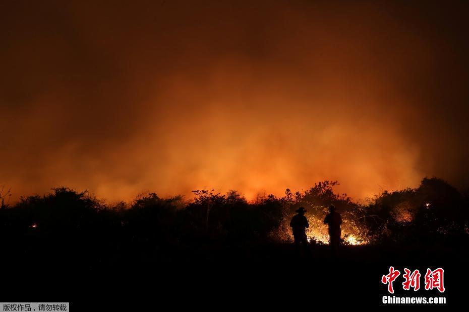 A maior área húmida no mundo tem recorde de incêndio, ameaçando espécies em extinsão