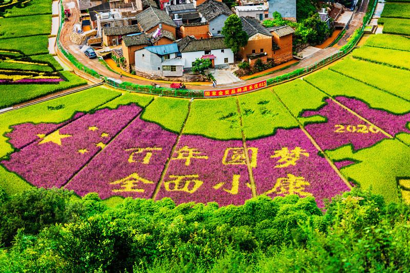 Galeria: arrozal colorido em Yunnan desperta atenção de curiosos

