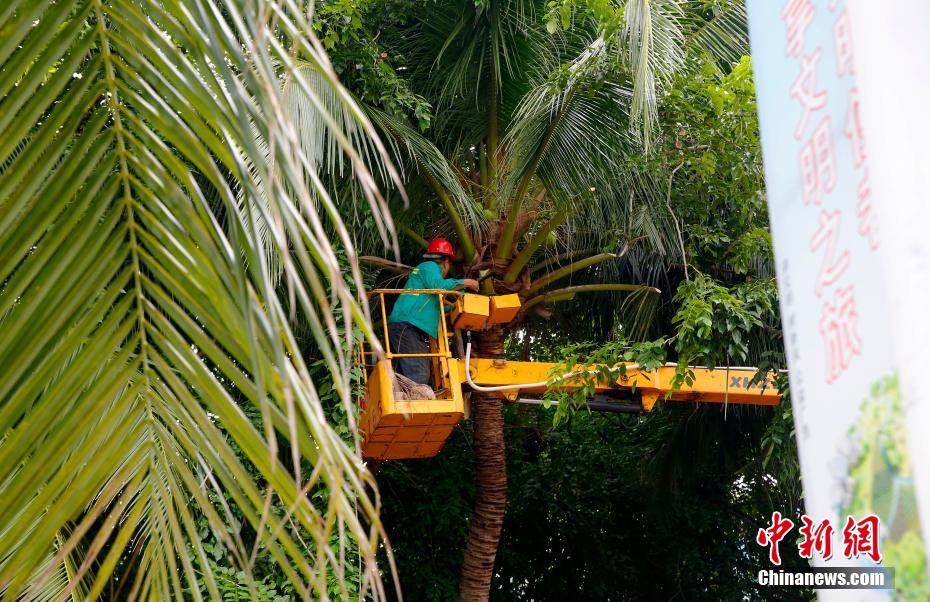 Sanya fecha pontos turísticos e escolas por tufão Nangka