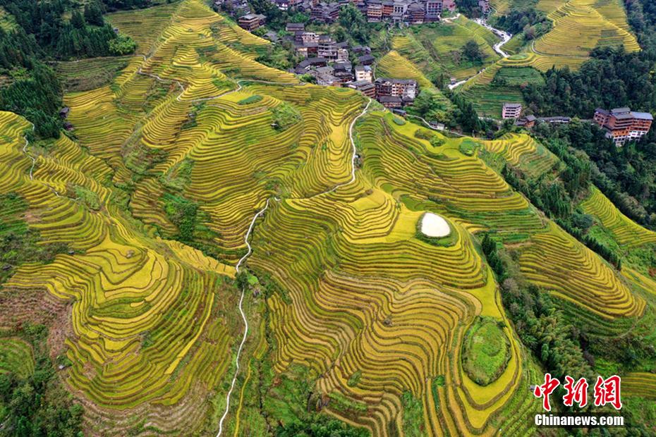 Galeria: paisagens outonais em Longsheng