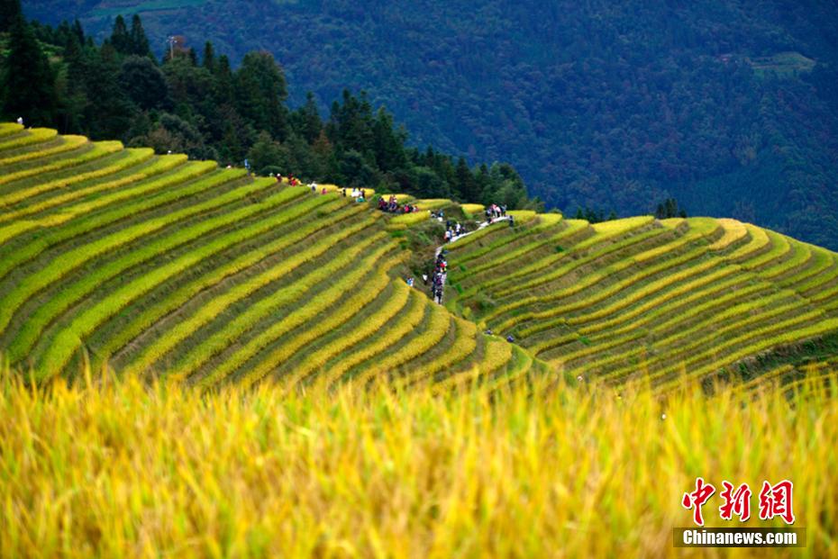 Galeria: paisagens outonais em Longsheng