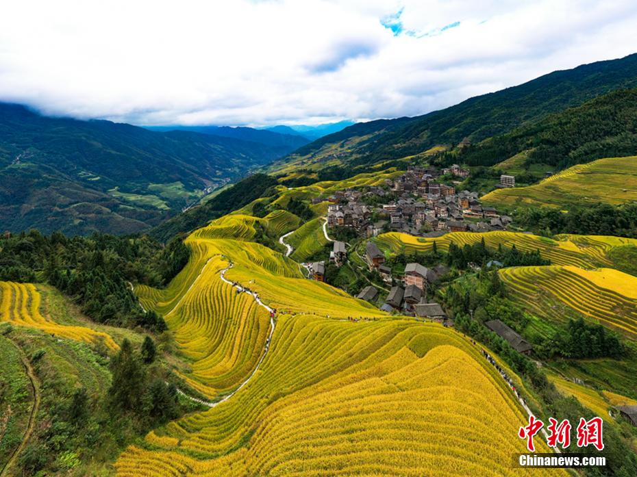 Galeria: paisagens outonais em Longsheng