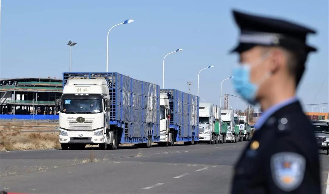 30.000 ovelhas doadas pela Mongólia começam a ser entregues à China