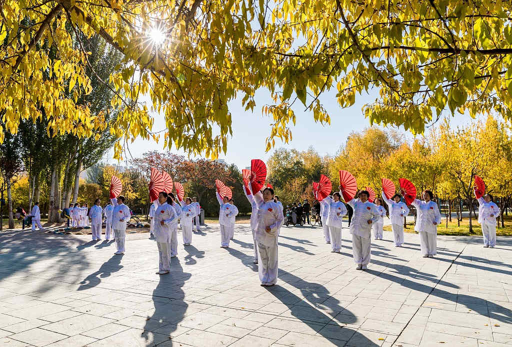 Entusiastas das artes marciais praticam dança tai chi em Hohhot