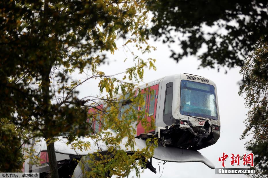 Trem holandês sai dos trilhos e atinge escultura de baleia